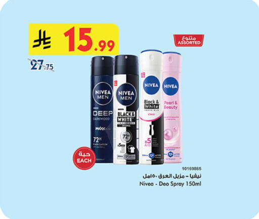 available at بن داود in مملكة العربية السعودية, السعودية, سعودية - المدينة المنورة