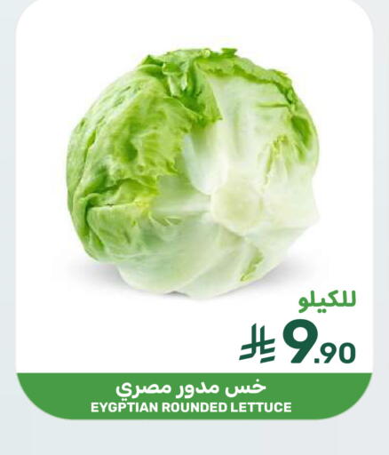 Lettuce available at Mazaya in KSA, Saudi Arabia, Saudi - Qatif