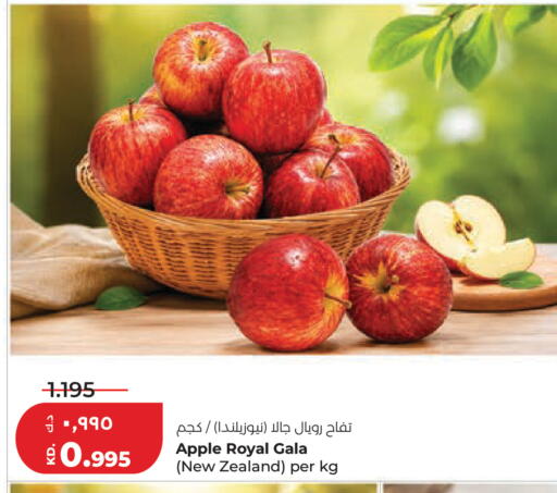 Apple from New Zealand available at لولو هايبر ماركت in الكويت - مدينة الكويت