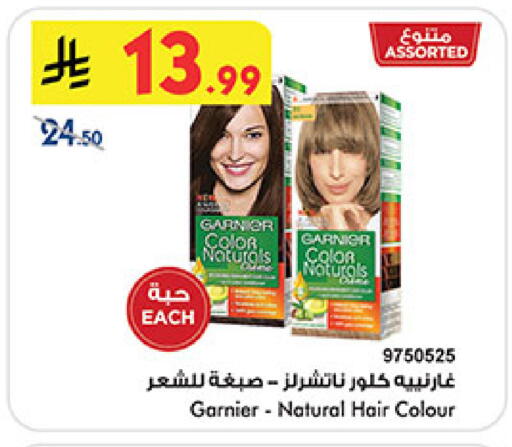 available at بن داود in مملكة العربية السعودية, السعودية, سعودية - المدينة المنورة