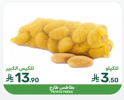 Potato available at  مـزايــا in مملكة العربية السعودية, السعودية, سعودية - القطيف‎