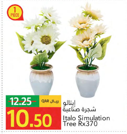 available at Gulf Food Center in Qatar - Doha