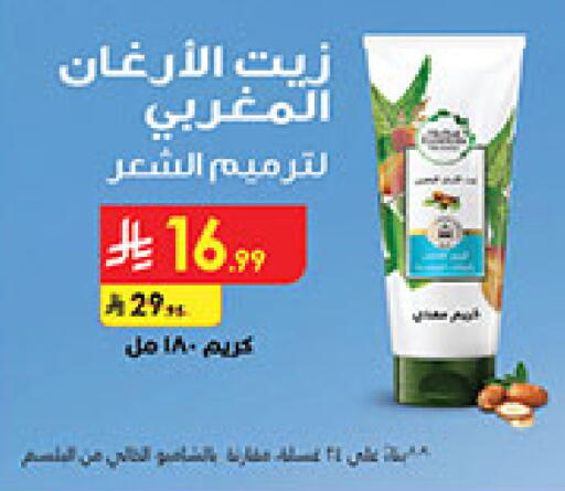 available at بن داود in مملكة العربية السعودية, السعودية, سعودية - المدينة المنورة