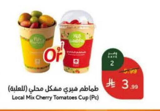 Cherry Tomato available at هايبر بنده in مملكة العربية السعودية, السعودية, سعودية - الجبيل‎