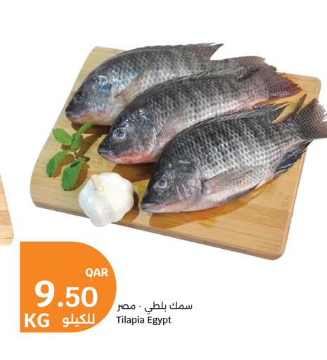 available at سيتي هايبرماركت in قطر - الريان