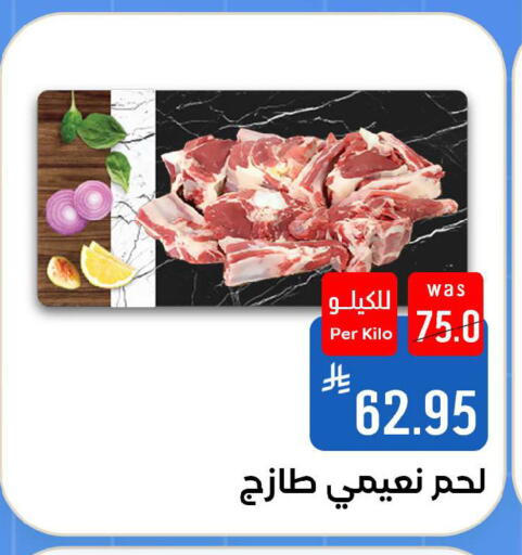 available at شبرا الطائف in مملكة العربية السعودية, السعودية, سعودية - الطائف