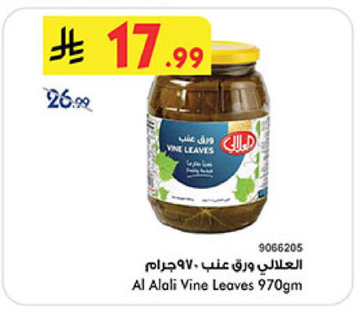 available at بن داود in مملكة العربية السعودية, السعودية, سعودية - المدينة المنورة
