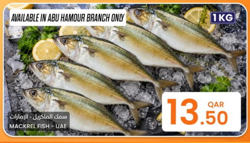 available at البلدي اليوم in قطر - أم صلال