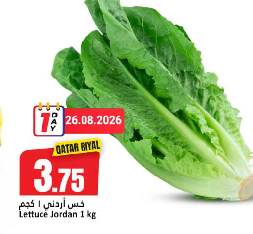 Lettuce from Qatar Jordan available at دانة هايبرماركت in قطر - الدوحة