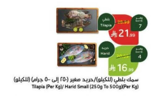 available at Hyper Panda in KSA, Saudi Arabia, Saudi - Unayzah