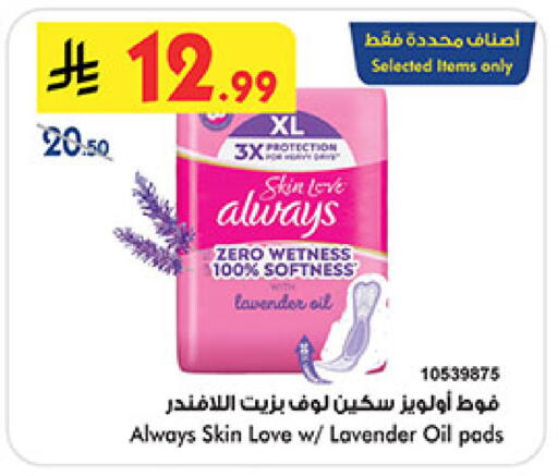 available at بن داود in مملكة العربية السعودية, السعودية, سعودية - المدينة المنورة