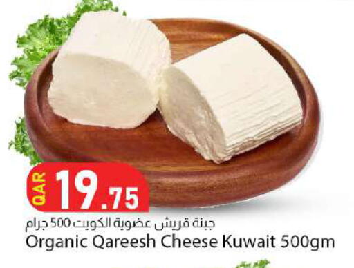 available at Dana Market in Qatar - Al Shamal