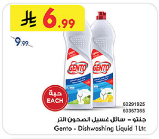 available at بن داود in مملكة العربية السعودية, السعودية, سعودية - المدينة المنورة