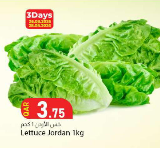 Lettuce from Jordan available at Dana Market in Qatar - Doha