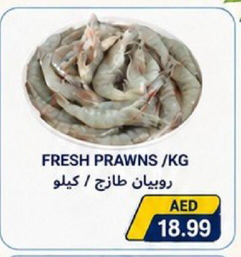 available at Rawabi Market Ajman in UAE - Sharjah / Ajman