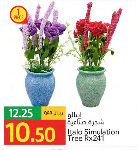 available at Gulf Food Center in Qatar - Doha