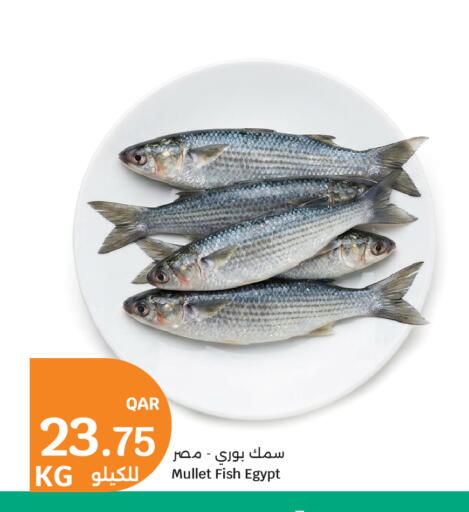 available at City Hypermarket in Qatar - Doha