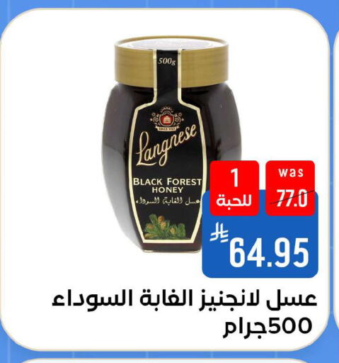 available at شبرا الطائف in مملكة العربية السعودية, السعودية, سعودية - الطائف