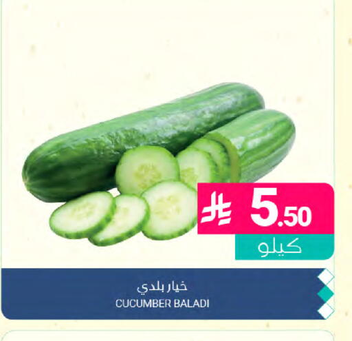Cucumber available at اسواق المنتزه in مملكة العربية السعودية, السعودية, سعودية - المنطقة الشرقية