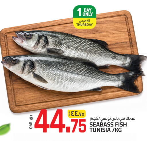 available at السعودية in قطر - الوكرة