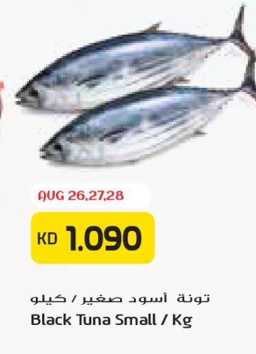 available at Grand Costo in Kuwait - Kuwait City