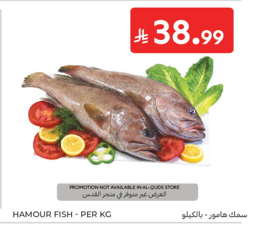 available at كارفور in مملكة العربية السعودية, السعودية, سعودية - سكاكا