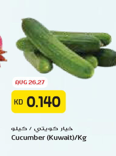 Cucumber from Kuwait available at جراند كوستو in الكويت - مدينة الكويت