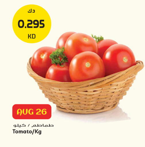 Tomato available at جراند هايبر in الكويت - مدينة الكويت