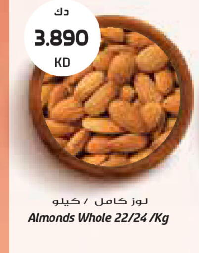 available at Grand Costo in Kuwait - Kuwait City