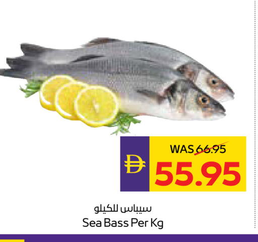 available at أدكووب in الإمارات العربية المتحدة , الامارات - أبو ظبي