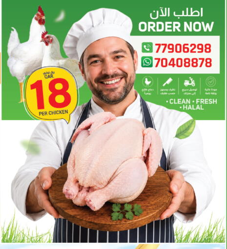 available at كنز ميني مارت in قطر - الشحانية