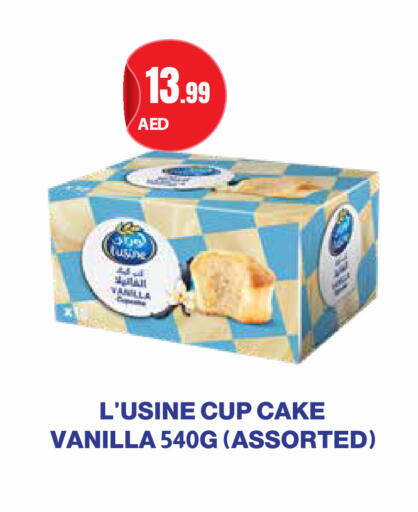 Vanilla available at Istanbul Supermarket in UAE - Abu Dhabi