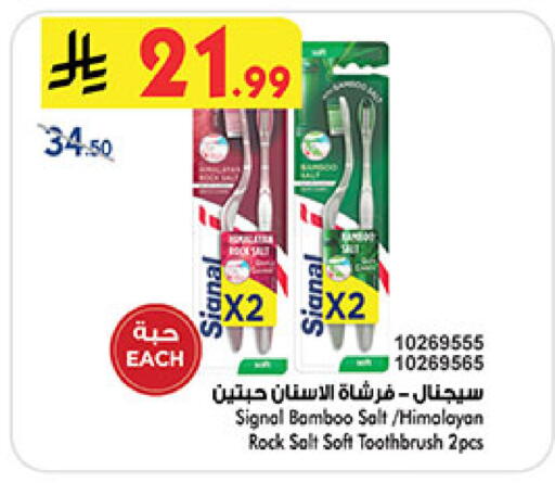 available at بن داود in مملكة العربية السعودية, السعودية, سعودية - المدينة المنورة