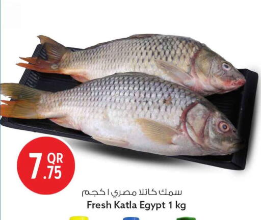 available at سفاري هايبر ماركت in قطر - الشمال
