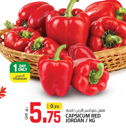 Capsicum from Jordan available at السعودية in قطر - الوكرة