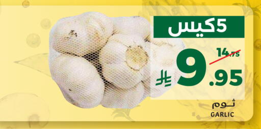 Garlic available at ميرا مارت مول in مملكة العربية السعودية, السعودية, سعودية - جدة