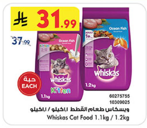 available at بن داود in مملكة العربية السعودية, السعودية, سعودية - المدينة المنورة