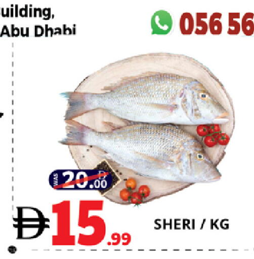 available at EXPRESS AL MADEENA HYPERMARKET LLC in UAE - Abu Dhabi