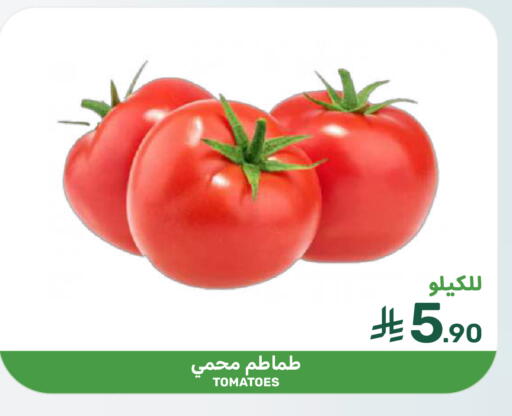 Tomato available at  مـزايــا in مملكة العربية السعودية, السعودية, سعودية - المنطقة الشرقية