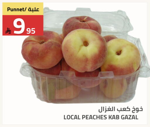 available at أسواق أسترا in مملكة العربية السعودية, السعودية, سعودية - تبوك