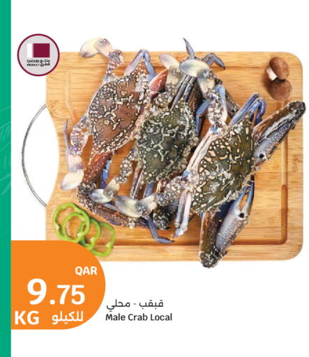 available at سيتي هايبرماركت in قطر - الشمال