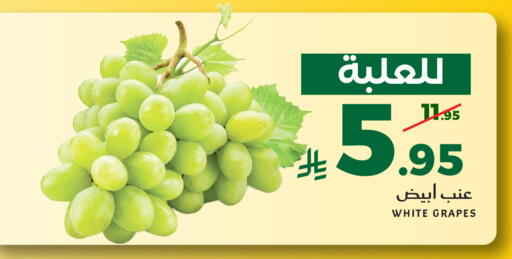 Grapes available at ميرا مارت مول in مملكة العربية السعودية, السعودية, سعودية - جدة