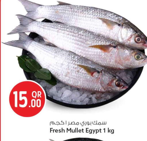 available at سفاري هايبر ماركت in قطر - الوكرة