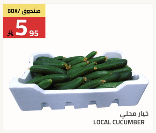 Cucumber available at أسواق أسترا in مملكة العربية السعودية, السعودية, سعودية - تبوك