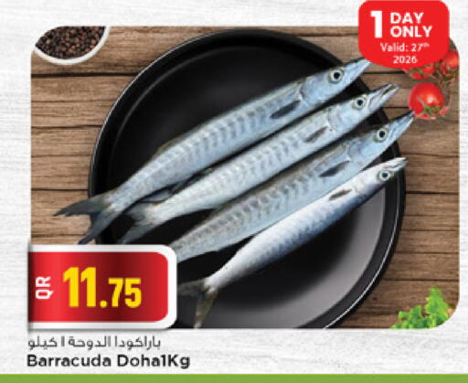 available at مرزا هايبرماركت in قطر - الشحانية