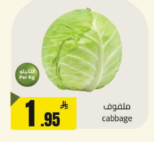Cabbage available at مخازن هايبرماركت in مملكة العربية السعودية, السعودية, سعودية - حفر الباطن