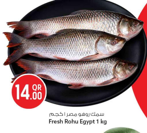 available at سفاري هايبر ماركت in قطر - الوكرة