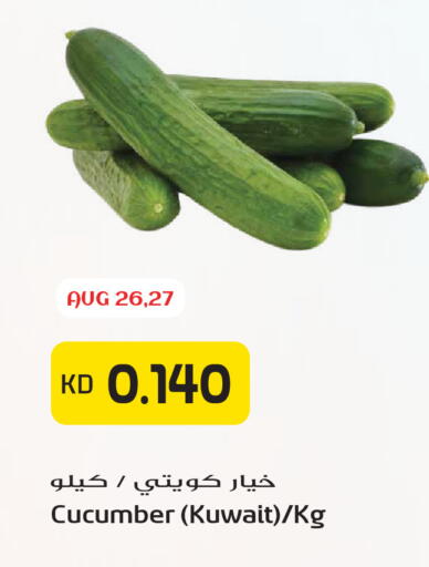 Cucumber from Kuwait available at جراند هايبر in الكويت - مدينة الكويت