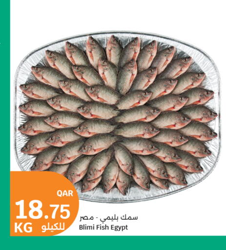 available at سيتي هايبرماركت in قطر - الوكرة
