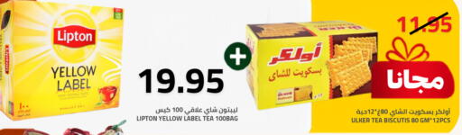 available at أسواق أسترا in مملكة العربية السعودية, السعودية, سعودية - تبوك